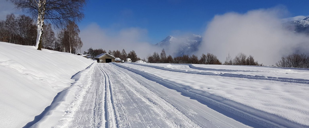 Slideshow Ski de fond 3